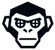 Badmonkey
